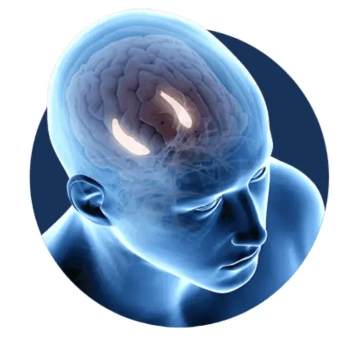 Billionaire Brain Wave programs